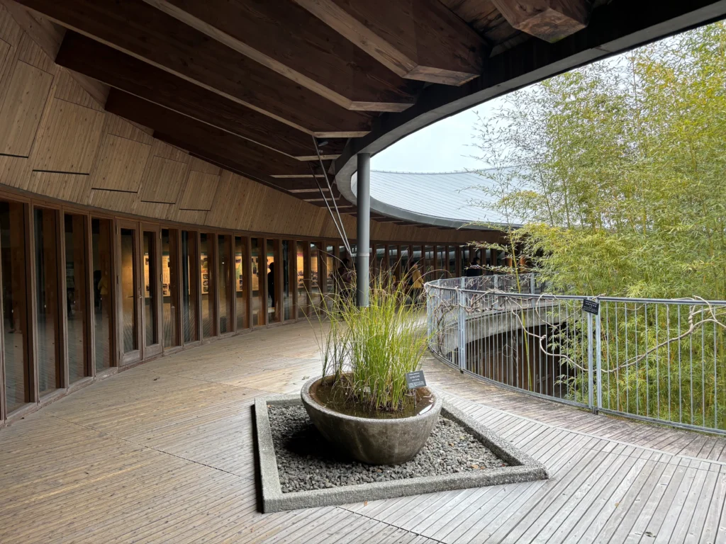 牧野富太郎記念館の耐久性とメンテナンス