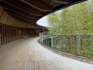 【博物館】高知県「牧野富太郎記念館」