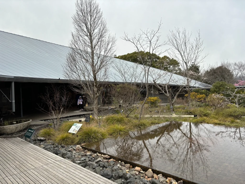 牧野富太郎記念館：ギャラリー