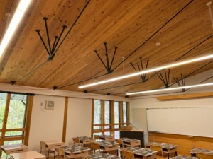 【学校】高知県「高知県立林業大学校」