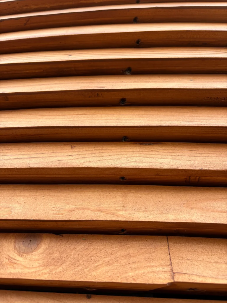 カンピ聖堂:ギャラリー