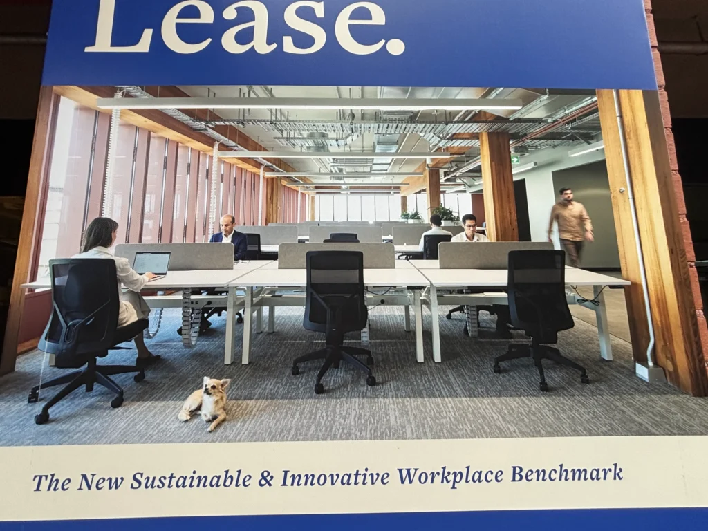 T3コリングウッド ギャラリー