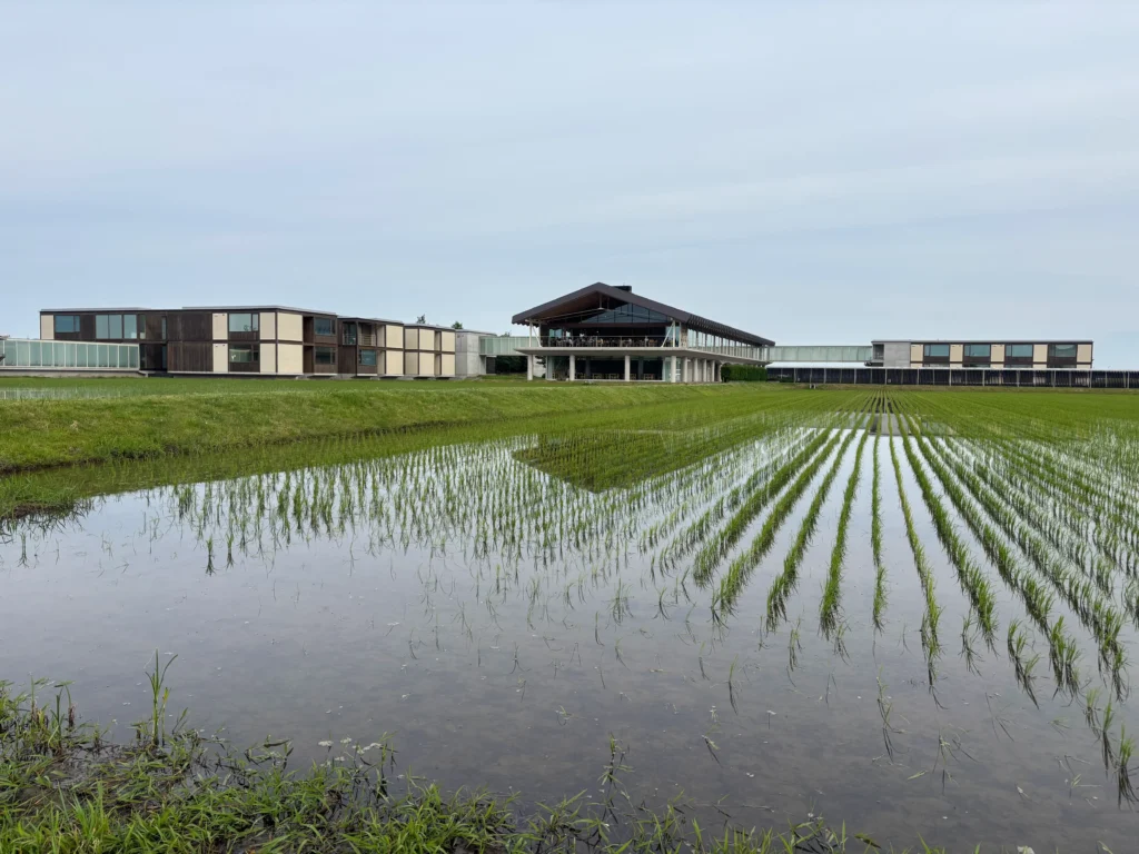 スイデンテラスのコンセプト：田園と木造建築